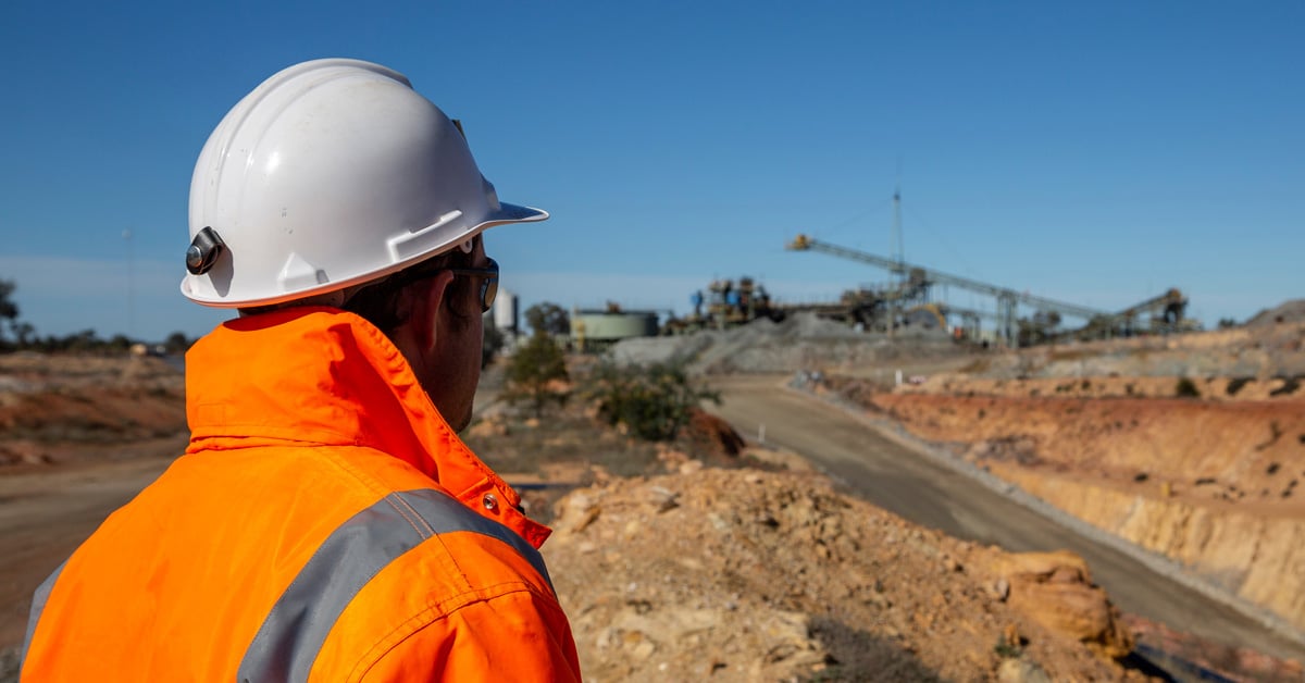 Blackwoods Back to Site