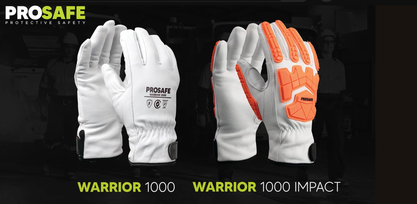 PROSAFE Warrior 1000