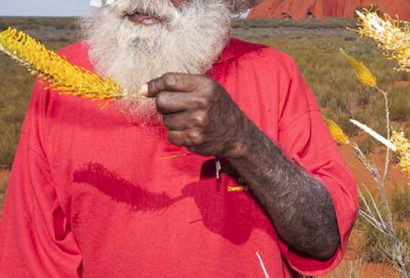 Restoring Sight in Aboriginal and Torres Strait Islander Communities