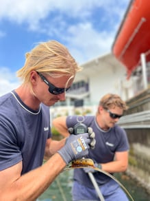 Seabin Action image 1 (9101-083)