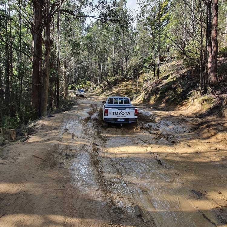 Project DriveSAFE