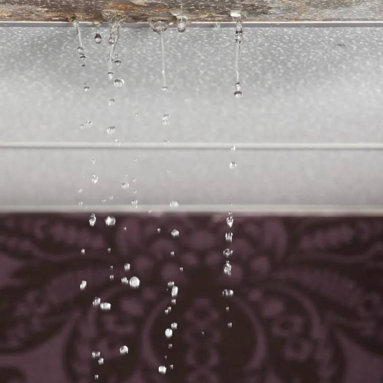 Stopping Leaks in your home or office