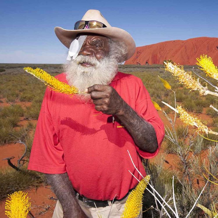 The Fred Hollows Foundation